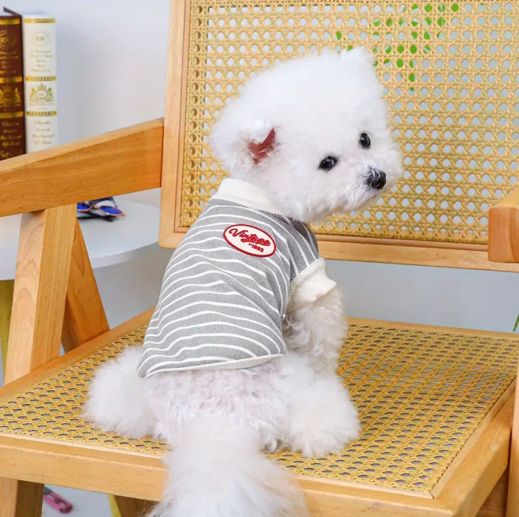 Çizgili Gri Köpek Tişörtü – Küçük Irklar İçin Yumuşak ve Rahat Günlük Kıyafet