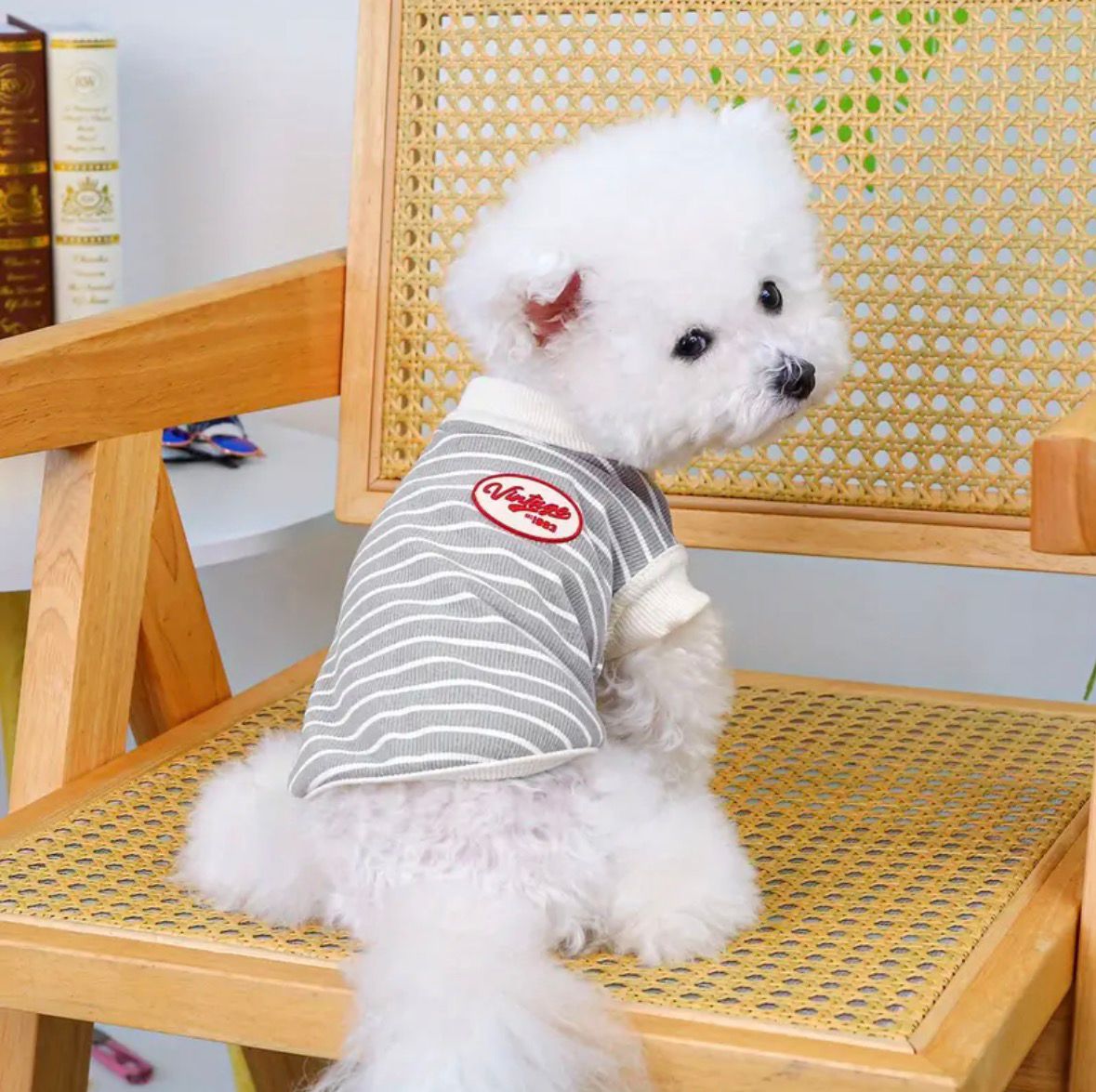 Çizgili Gri Köpek Tişörtü – Küçük Irklar İçin Yumuşak ve Rahat Günlük Kıyafet