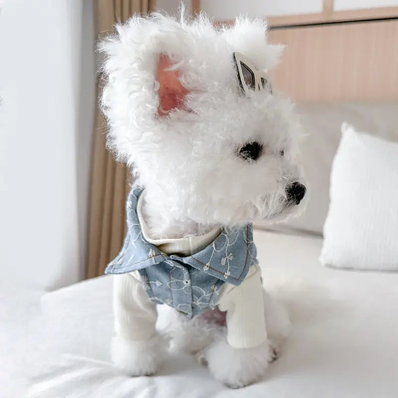 3 Parça Köpekler için Çiçek Nakışlı Kot Ceket, Beyaz Yüksek Yaka T-Shirt ve Gözlük