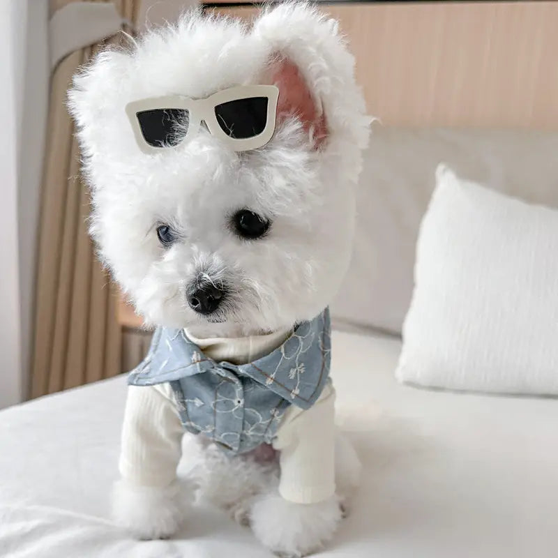 3 Parça Köpekler için Çiçek Nakışlı Kot Ceket, Beyaz Yüksek Yaka T-Shirt ve Gözlük