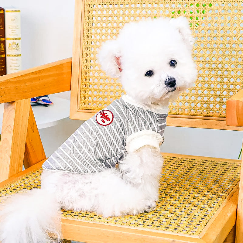 Çizgili Gri Köpek Tişörtü – Küçük Irklar İçin Yumuşak ve Rahat Günlük Kıyafet