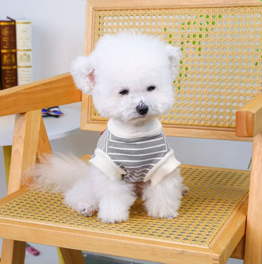 Çizgili Gri Köpek Tişörtü – Küçük Irklar İçin Yumuşak ve Rahat Günlük Kıyafet