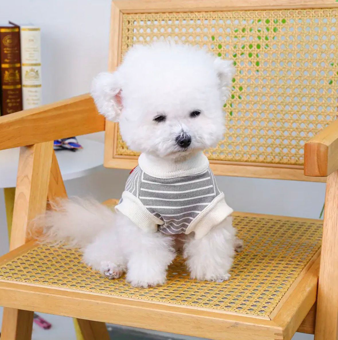 Çizgili Gri Köpek Tişörtü – Küçük Irklar İçin Yumuşak ve Rahat Günlük Kıyafet