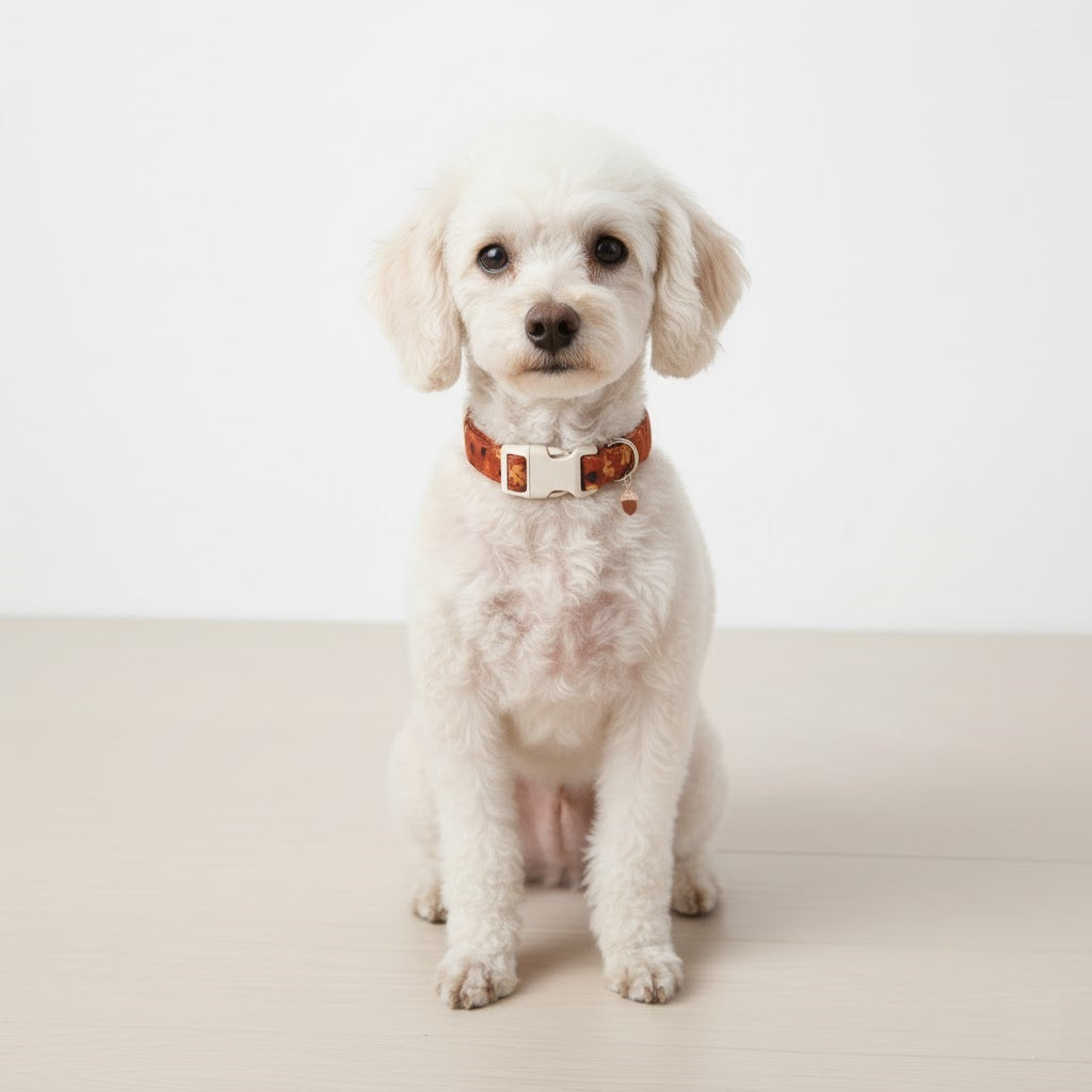 Sonbahar Temalı Ayarlanabilir Köpek Tasması