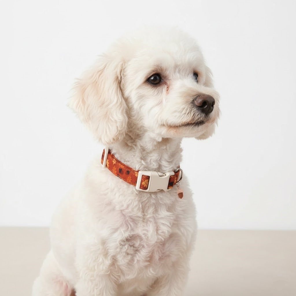 Sonbahar Temalı Ayarlanabilir Köpek Tasması